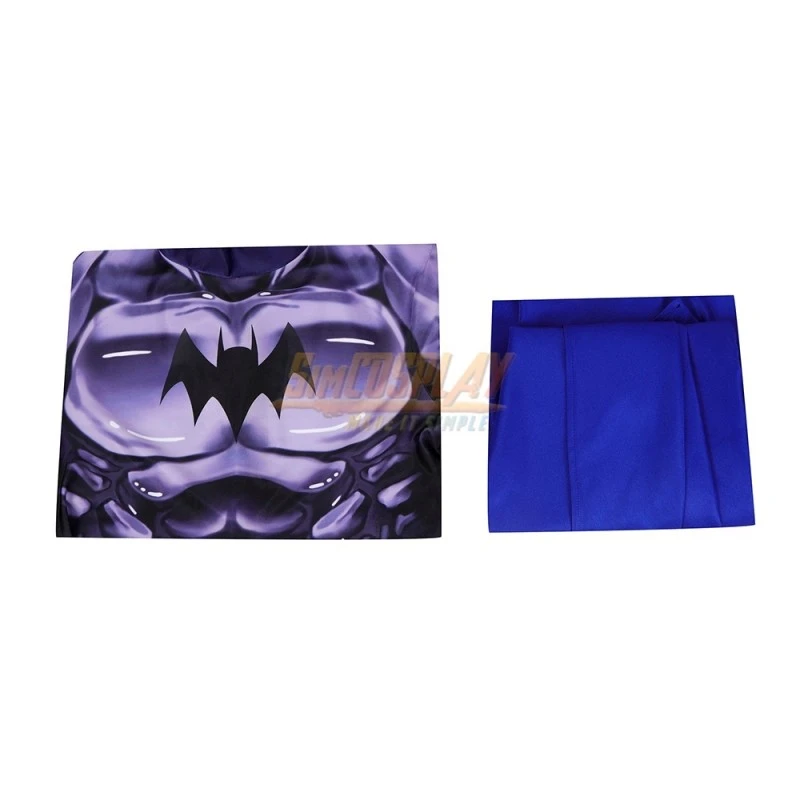 The New Batman Adventures S1 Spandex Cosplay Costume 19 The New Batman Adventures S1 Spandex Cosplay Costume - Image 19